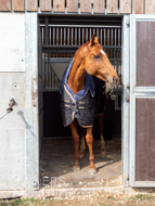 BP200326-74 - It's Hard To Know